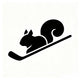 Hockey Squirrel - Home
